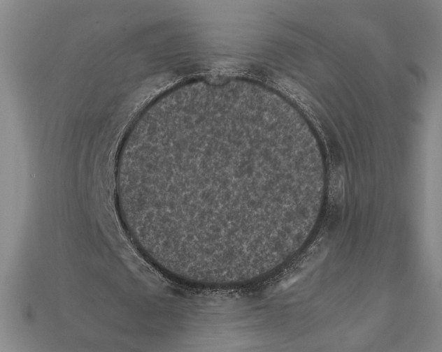 X0000112210673200909181554