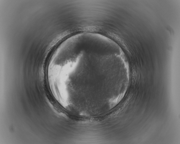 X0000112210674200909181554