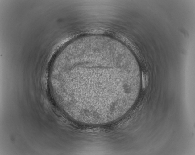 X0000112210675200909181554
