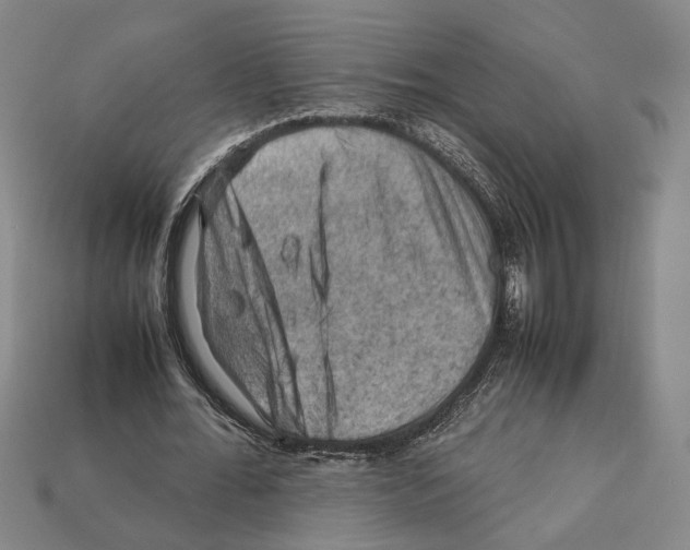 X0000112210676200909181554