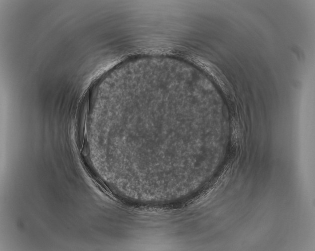 X0000112210677200909181554