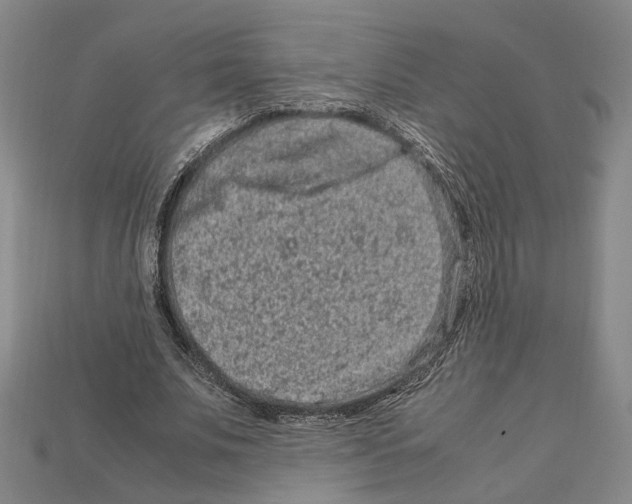 X0000112210679200909181554
