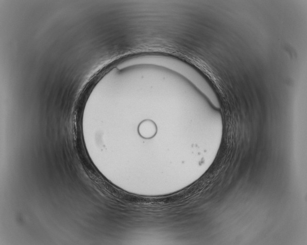 X0000112210680200909181554