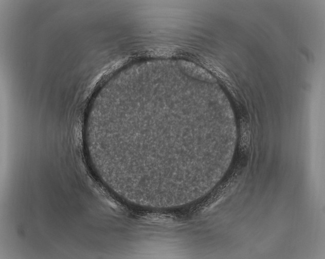 X0000112210681200909181554