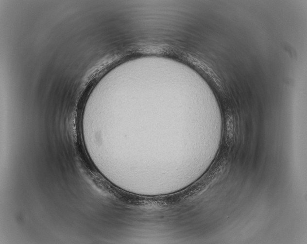 X0000112210682200909181554