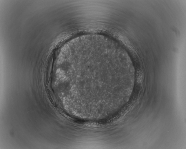 X0000112210685200909181554