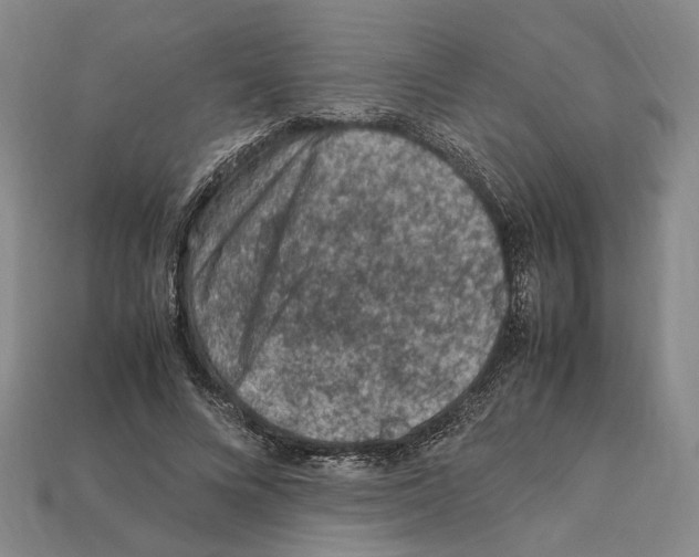 X0000112210688200909181554
