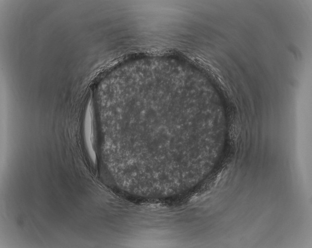 X0000112210689200909181554
