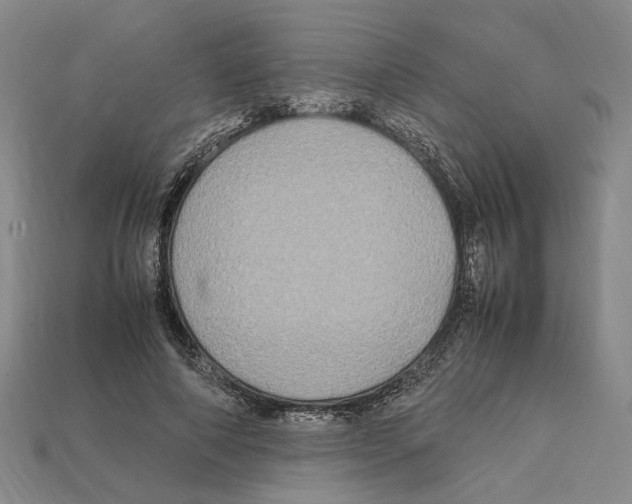 X0000112210690200909181554