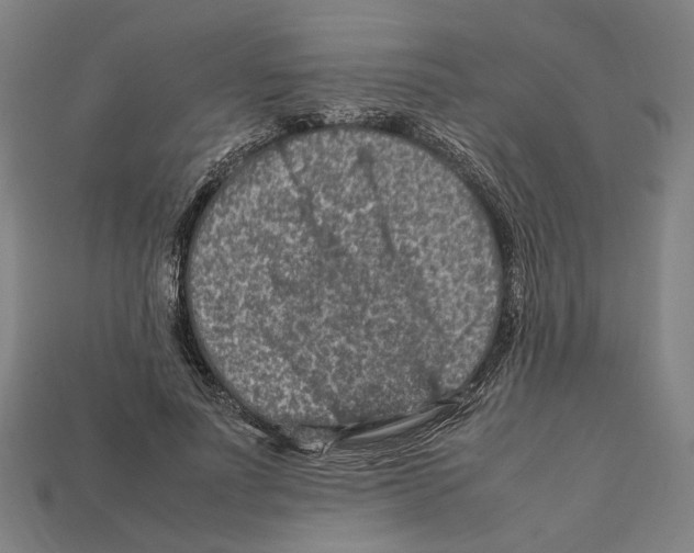 X0000112210691200909181554