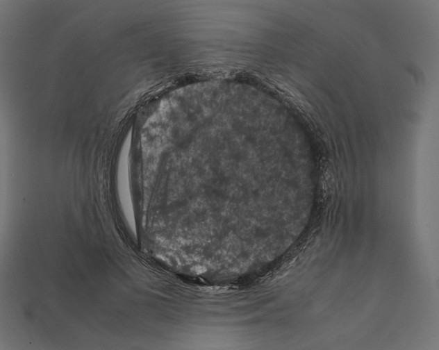X0000112210693200909181554