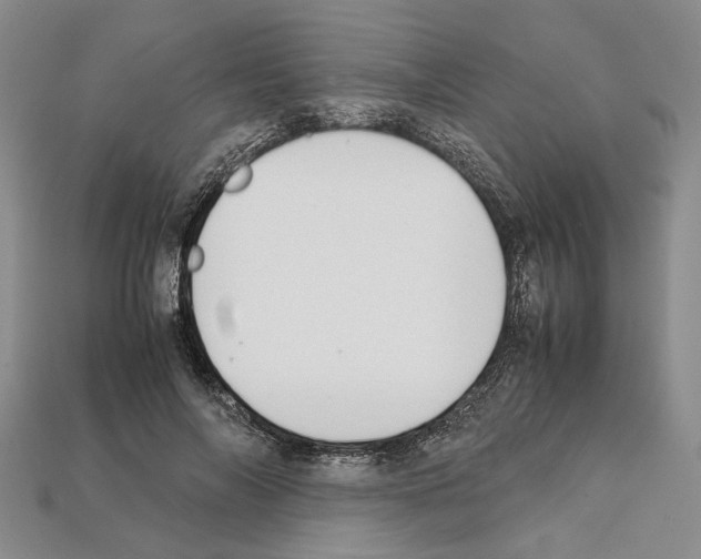 X0000112210694200909181554