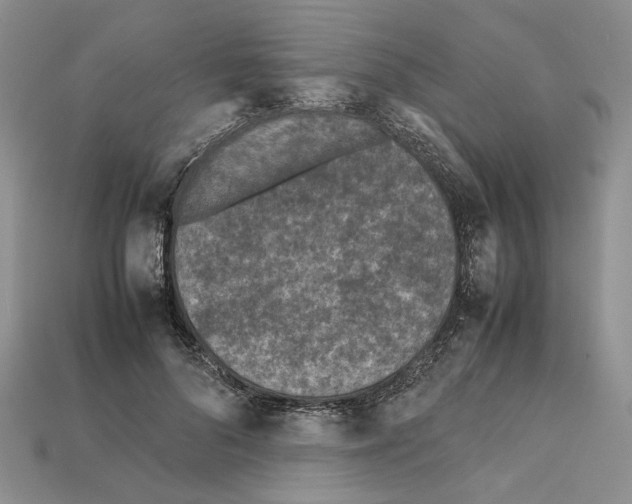 X0000112210696200909181554