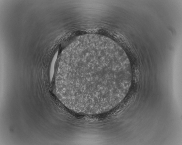 X0000112210697200909181554