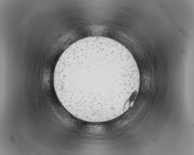 X0000112210698200909181554