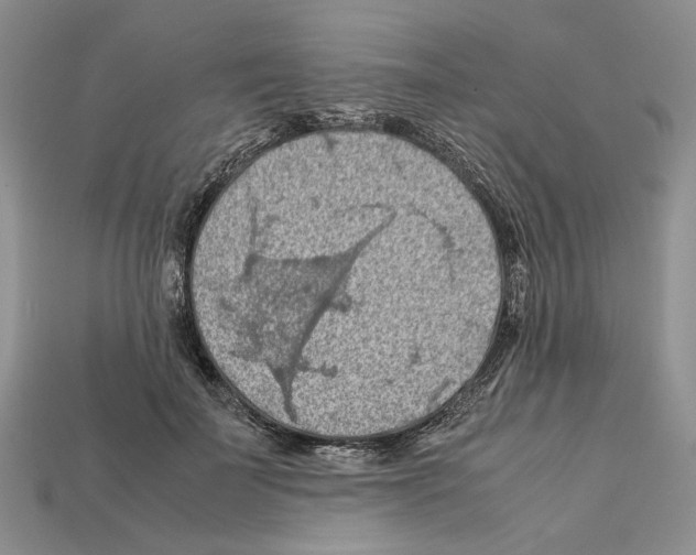X0000112210699200909181554