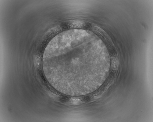 X0000112210701200909181554