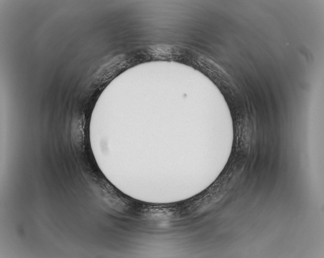 X0000112210702200909181554