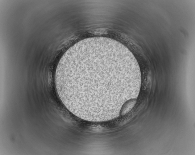 X0000112210704200909181554