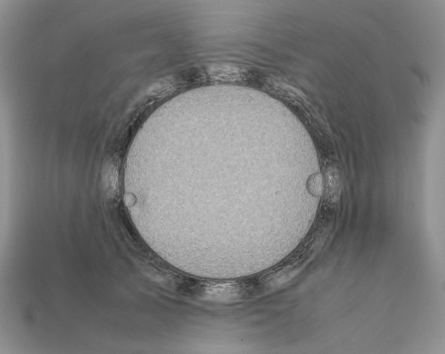 X0000112210705200909181554