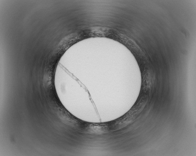 X0000112210706200909181554