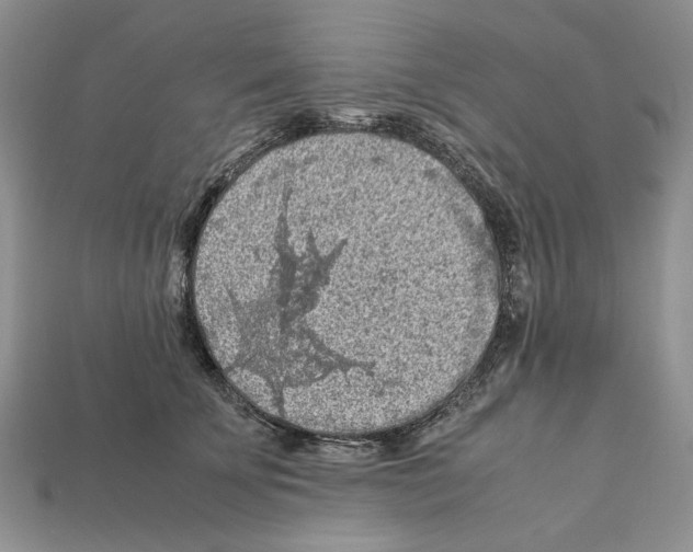 X0000112210707200909181554