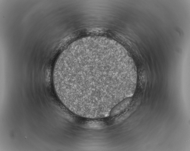 X0000112210708200909181554