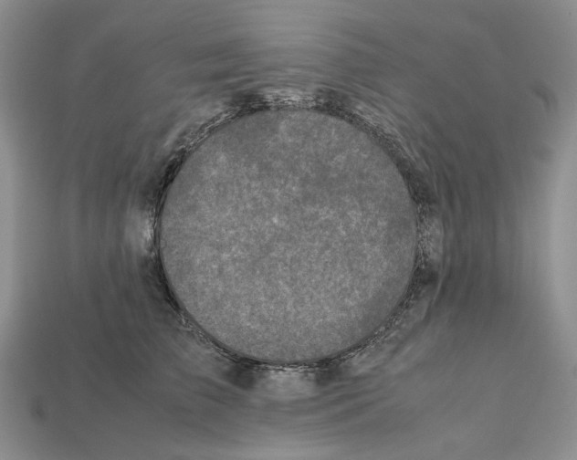 X0000112210709200909181554