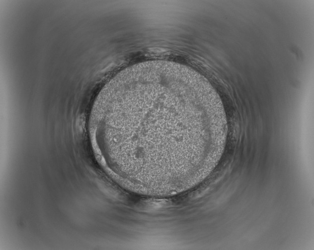 X0000112210711200909181554
