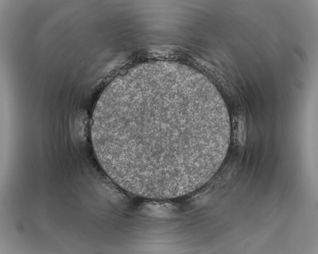 X0000112210712200909181554