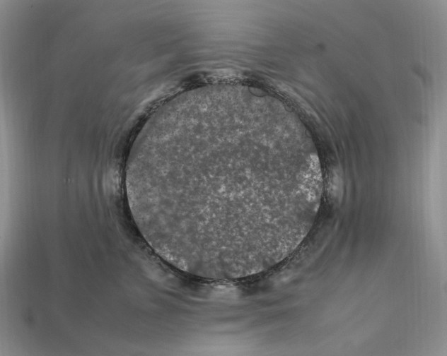 X0000112210715200909181554
