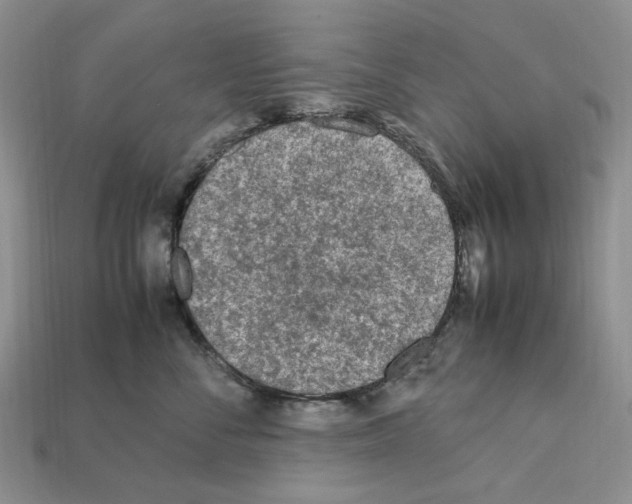 X0000112210716200909181554