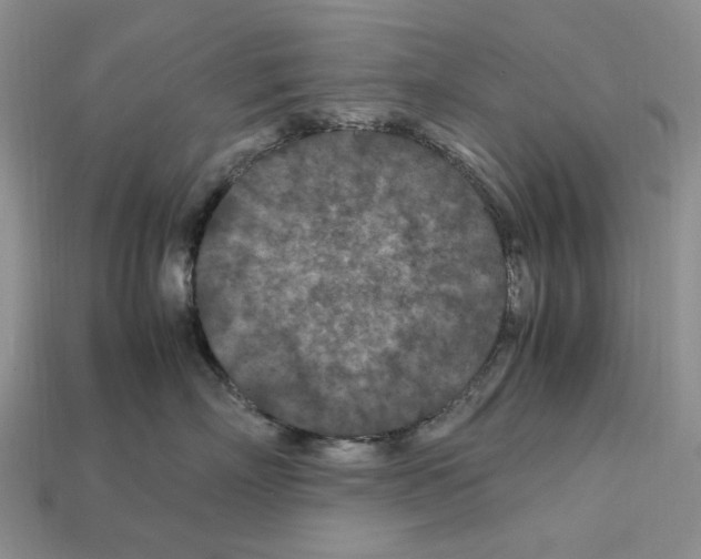 X0000112210718200909181553