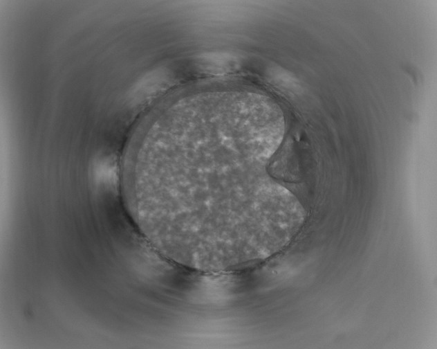 X0000112210720200909181553