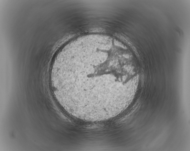 X0000112210721200909181553