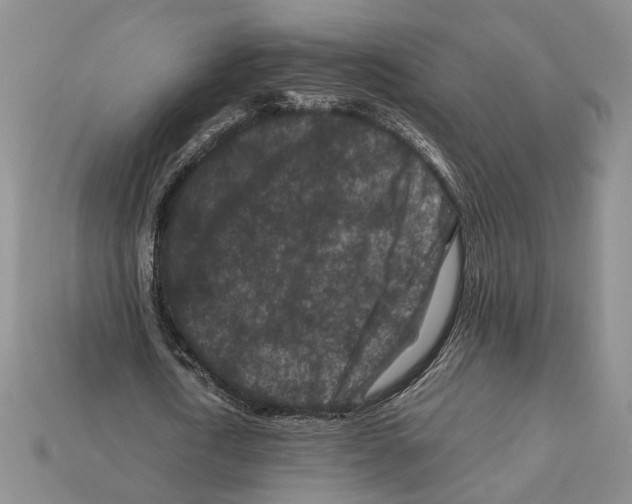 X0000112210722200909181553