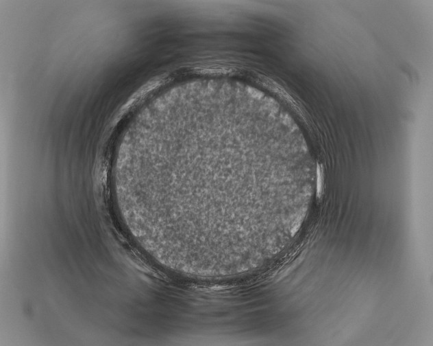 X0000112210723200909181553