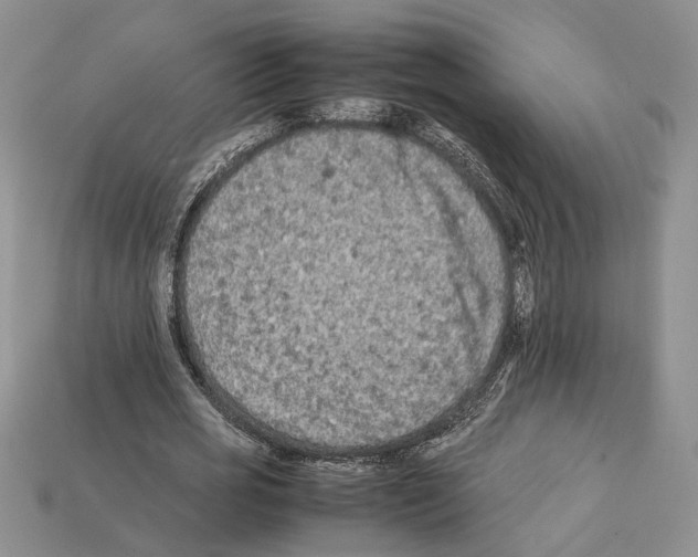 X0000112210725200909181553