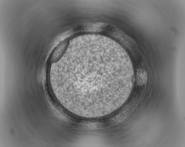 X0000112210726200909181553