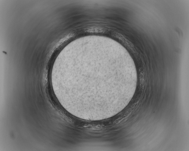 X0000112210727200909181553