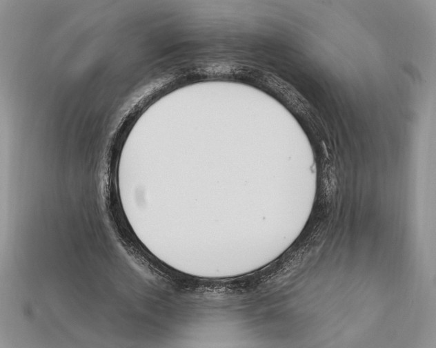 X0000112210728200909181553