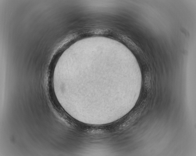 X0000112210730200909181553