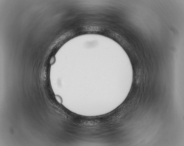 X0000112210731200909181553