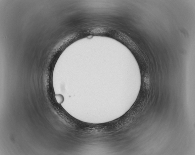 X0000112210732200909181553