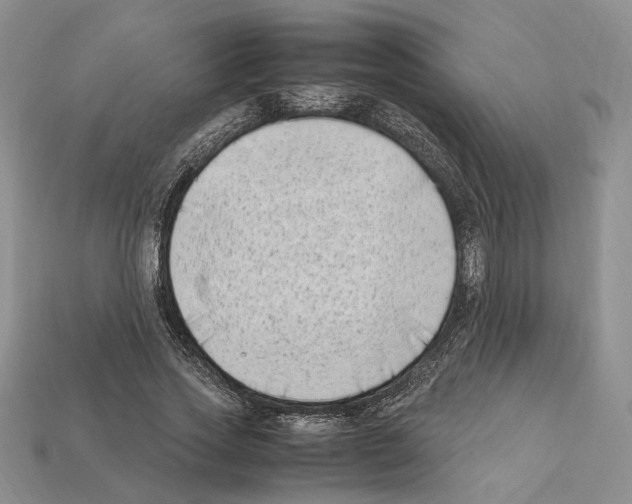 X0000112210733200909181553