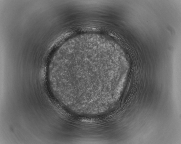 X0000112210735200909181553