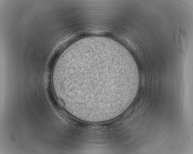 X0000112210736200909181553