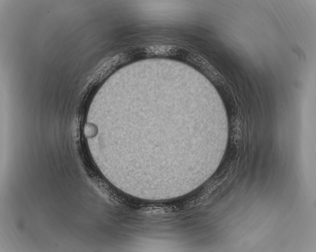 X0000112210738200909181553