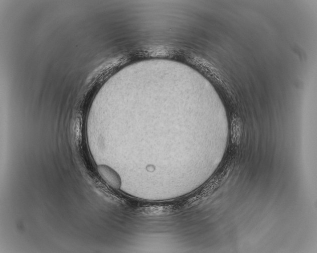 X0000112210740200909181553