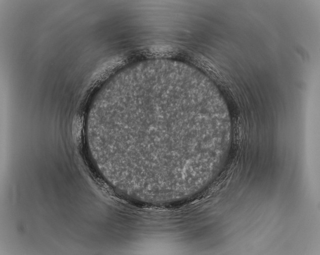 X0000112210742200909181553